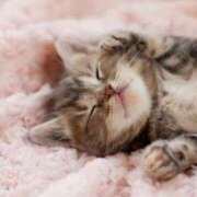 ヒメ日記 2026/04/12 06:33 投稿 りお マダム錦糸町