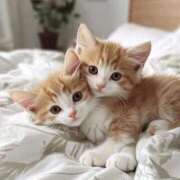 ヒメ日記 2026/04/16 15:21 投稿 りお マダム錦糸町