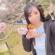 ヒメ日記 2026/03/31 19:12 投稿 りん 恋するバニー