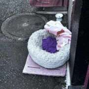 ヒメ日記 2026/06/01 20:59 投稿 みつば sweet kiss