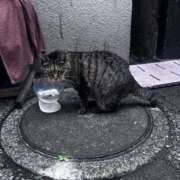ヒメ日記 2026/06/06 20:29 投稿 みつば sweet kiss