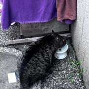ヒメ日記 2026/07/14 22:49 投稿 みつば sweet kiss