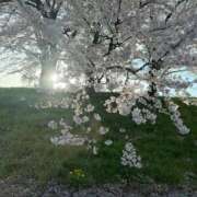 ヒメ日記 2026/04/14 11:48 投稿 朝比奈エマ ウルトラロイヤル