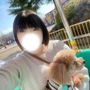 ヒメ日記 2026/04/07 14:18 投稿 りり 白いぽっちゃりさん