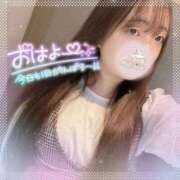 ふわり ドキドキ💓 ぷるるん小町 京橋店