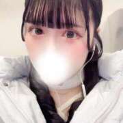 ヒメ日記 2026/04/02 11:44 投稿 みる 若葉