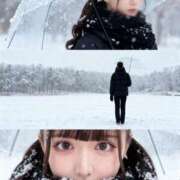 ヒメ日記 2026/04/04 15:26 投稿 みる 若葉