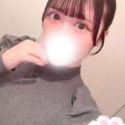 ヒメ日記 2026/04/11 08:29 投稿 みる 若葉