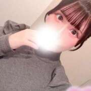 ヒメ日記 2026/04/24 08:36 投稿 みる 若葉