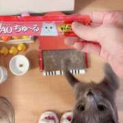 ヒメ日記 2026/08/23 19:45 投稿 みなみ 性腺熟女100％本店（デリヘル市場）