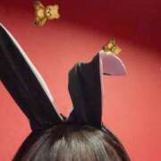 ヒメ日記 2026/04/11 01:06 投稿 カエデ バニーコレクション千葉栄町店