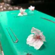 ヒメ日記 2026/04/03 18:08 投稿 しずく 仙台回春性感マッサージ倶楽部