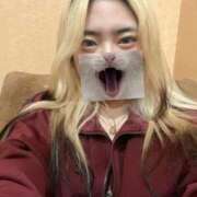 ヒメ日記 2026/04/08 19:57 投稿 リン 完全密室 無抵抗