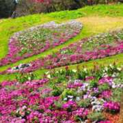 ヒメ日記 2026/04/05 18:26 投稿 高石あかね 五十路マダムエクスプレス横浜店（カサブランカグループ）