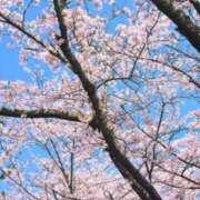 ヒメ日記 2026/04/08 19:00 投稿 高石あかね 五十路マダムエクスプレス横浜店（カサブランカグループ）