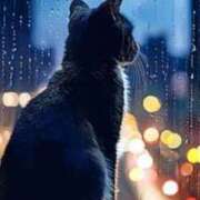 ヒメ日記 2026/04/10 21:54 投稿 高石あかね 五十路マダムエクスプレス横浜店（カサブランカグループ）