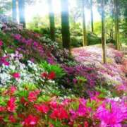 ヒメ日記 2026/04/17 20:10 投稿 高石あかね 五十路マダムエクスプレス横浜店（カサブランカグループ）