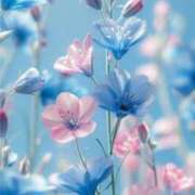 高石あかね お礼日記 五十路マダムエクスプレス横浜店（カサブランカグループ）