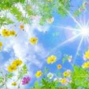 ヒメ日記 2026/04/25 19:24 投稿 高石あかね 五十路マダムエクスプレス横浜店（カサブランカグループ）