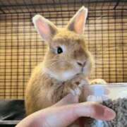 ヒメ日記 2026/09/06 08:44 投稿 高石あかね 五十路マダムエクスプレス横浜店（カサブランカグループ）