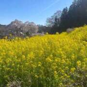 ヒメ日記 2026/04/13 14:20 投稿 一色ゆづき(いっしきゆづき) 鶯谷ナンバーワン