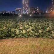 ヒメ日記 2026/06/02 16:40 投稿 一色ゆづき(いっしきゆづき) 鶯谷ナンバーワン