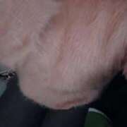 ヒメ日記 2026/03/26 19:18 投稿 るこ 京都BOOK MARK（ブックマーク）