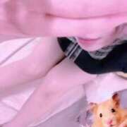 ヒメ日記 2026/08/28 10:07 投稿 ろろ スピードエコ京橋店
