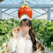 ヒメ日記 2026/04/02 07:32 投稿 よつば　光り輝く原石 ROYAL FACE