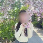 ヒメ日記 2026/04/29 08:12 投稿 よつば　光り輝く原石 ROYAL FACE