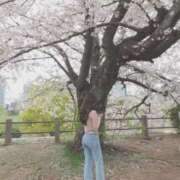 ヒメ日記 2026/05/24 22:02 投稿 よつば　光り輝く原石 ROYAL FACE