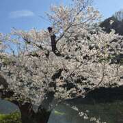 ヒメ日記 2026/04/05 19:24 投稿 アキナ ミセスClub