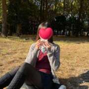 ななこ はじめまして！ ハッピーハウス