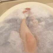 ヒメ日記 2026/03/31 08:45 投稿 ななこ ハッピーハウス