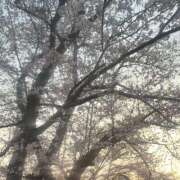 あわ おさんぽしてる〜🐈‍⬛ ͗ ͗ シルクハット