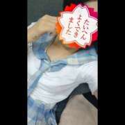 ヒメ日記 2026/04/05 11:21 投稿 こうめ 折り紙 ORIGAMI