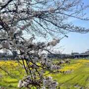 ヒメ日記 2026/03/27 18:31 投稿 乃々花(ののか) グランドオペラ福岡