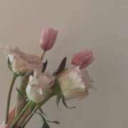 ヒメ日記 2026/04/05 18:10 投稿 乃々花(ののか) グランドオペラ福岡