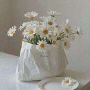 ヒメ日記 2026/04/05 20:21 投稿 乃々花(ののか) グランドオペラ福岡