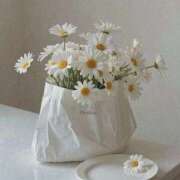 ヒメ日記 2026/04/10 15:52 投稿 乃々花(ののか) グランドオペラ福岡