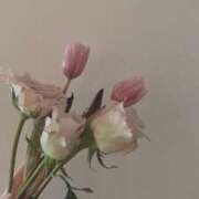 乃々花(ののか) Y様♡ グランドオペラ福岡