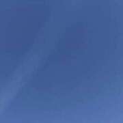 もみじ こんにちは😊 スピードエコ梅田店