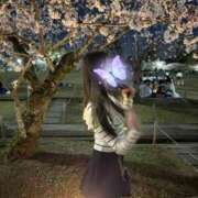 ヒメ日記 2026/04/18 16:52 投稿 苺恋りんご 水戸ソープ アイドル彼女