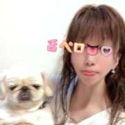 ヒメ日記 2026/04/16 07:35 投稿 えみり 渋谷蘭の会