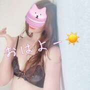 ヒメ日記 2026/05/12 09:45 投稿 えみり 渋谷蘭の会