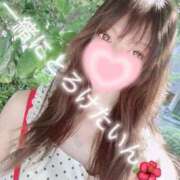 ヒメ日記 2026/07/31 08:35 投稿 えみり 渋谷蘭の会