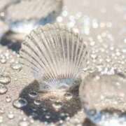 ヒメ日記 2026/04/02 15:41 投稿 結菜(ゆいな) グランドオペラ横浜