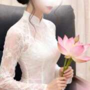 ヒメ日記 2026/04/07 00:21 投稿 結菜(ゆいな) グランドオペラ横浜