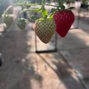 ヒメ日記 2026/03/31 16:18 投稿 上原あまね 東京不倫～とうきょうふりん～