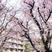 ヒメ日記 2026/04/01 10:13 投稿 上原あまね 東京不倫～とうきょうふりん～